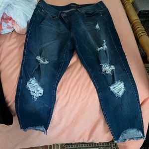 Torrid jeans